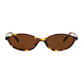 PARIS - TORTOISE | BROWN